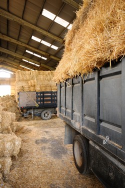 Todd Greenstone Hay Trucks